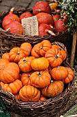 Basket of ornamental pumpkins and Hokkaido pumpkins