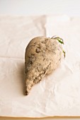 A soil-covered sugar beet on a piece of paper