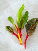 Fresh chard leaves (seen from above)