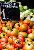 Viele Tomaten auf dem Markt