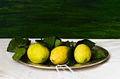 Drei Zitronen mit Blättern auf Tablett