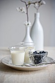 Panna cotta with blueberries