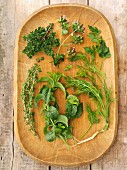 Fresh herbs on a wooden platter: thyme, lemon thyme, oregano, parsley, mint, dill