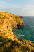 The steep coast at Gunwalloe (Cornwall, England)