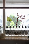 Umfunktionierte leere Whiskeyflaschen in einer Reihe mit verschiedenen Blütenzweigen vor Fenster