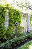 Planter on stone plinth between low hedge and climber-covered garden wall