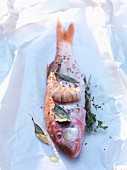 Fresh red mullet and prawns with herbs