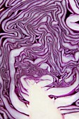 Red cabbage (detail)