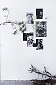 Pictures of flowers stuck on wall next to branch decorated with small paper houses