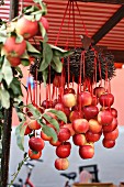 Rote Äpfel hängen von einem Weidenkranz