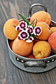 Fresh apricots in a vintage pot with a bunch of daisies