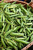 A basket of pea pods