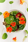 A colourful salad with water cress flowers and leaves