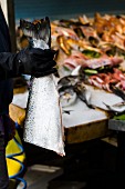 A fish seller holding a halved salmon at a fish market