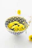 Yellow chrysanthemums in bowl of water