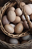 A basket of hand numbered farm eggs