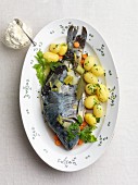 Poached carp with parsley potatoes