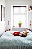 Scatter cushions and soft toys on double bed in front of potted plant on windowsill