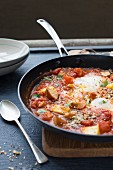 Poached eggs in a tomato sauce with smoked chicken, parlsey and dukkah