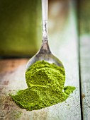 Moringa powder on a spoon