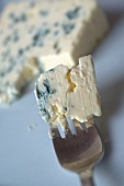 Blue cheese on a fork