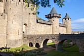 Kräutergarten an der Zitadelle von Carcassonne (Frankreich)