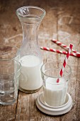 Milch in Karaffe und Glas mit gestreiften Strohhalmen