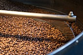 Roasting Coffee Beans in a Coffee Plant