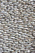 Viele getrocknete Fische (bildfüllend)