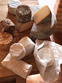 Various types of goat's cheese on a wooden table