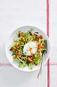 A poached egg on frisee lettuce with bacon and croutons