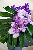 Weiß violette Orchidee und Blatt in Vase