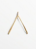 A wishbone from poultry bird