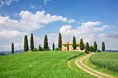 A Tuscan farm house surrounded by cypress trees on a hill near Pienza; UNESCO World Heritage Site, Val d'Orcia, Tuscany, Italy