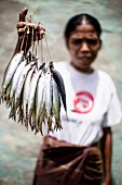 A woman selling fish in Sumba, Indonesia, South-East Asia