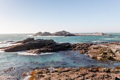 Halifax Island, eine Felseninsel vor der Küste der Lüderitz-Halbinsel in Namibia - ein Paradies für Pinguine