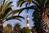A view between palm trees of the lighthouse at Swakopmund, Namibia, Africa