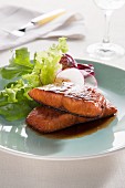 Lachs Teriyaki mit Blattsalat (Japan)