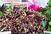 A pile of radiccio at a market in Greece