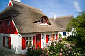 A thatched roof house with a red door and shutters, Ahrenshoop on the Baltic Sea