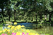 Das Wasserschloss von Mellenthin auf der Insel Usedom, Mecklenburg-Vorpommern - Schlossgarten