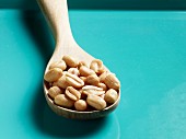 Peanuts on a wooden spoon