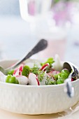 Radish salad with broad beans