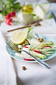 Fennel salad with radishes and anchovy cream