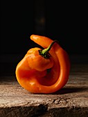 An orange pepper on a rustic wooden surface