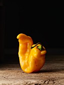 A yellow pepper on a wooden surface