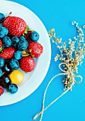 Summer berries on a white plate