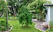 Summery garden with gravel path leading to small terrace behind shed