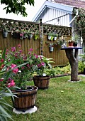 Garden with flowering plants in planters on lawn and hung on fence