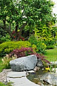Pond with large boulder on edge in summery garden